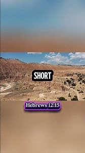 Hebrews 12:14-15 #motivation #faith #christianity #gospel #Godisgood #jesuschrist #bibleverse