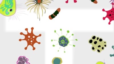 How Giant Tube Worms Survive at Hydrothermal Vents