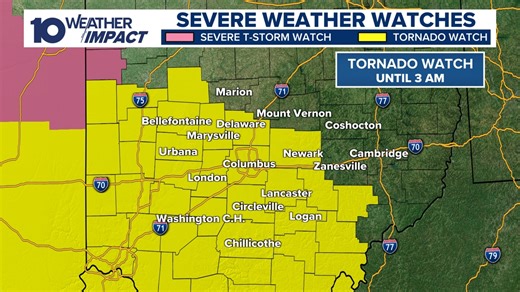 Storms moved through central Ohio, bringing large hail and damaging winds