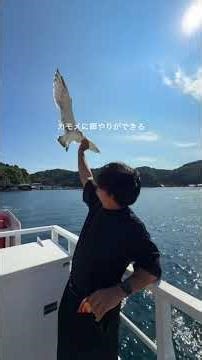 【京都・観光】愛知県から3時間半で行ける京都北部の絶景スポット巡り！