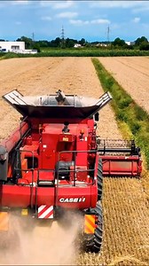 25K views · 633 reactions | Case international combine harvester | Big Machines | Facebook