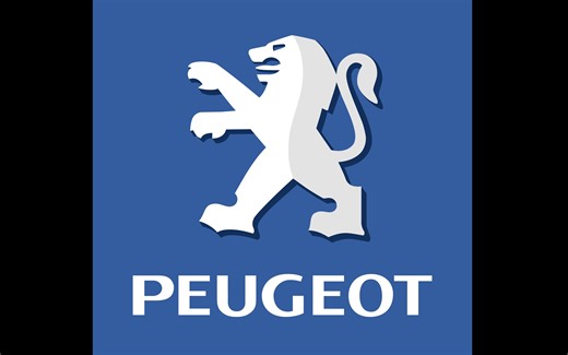 视频资料：标致307拆装中控收音机