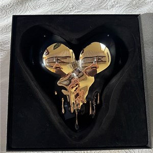 Metallic Heart Armor Women's Top 🩶 Breast plate