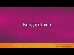 Pronunciation of the word(s) "Bungarotoxin".