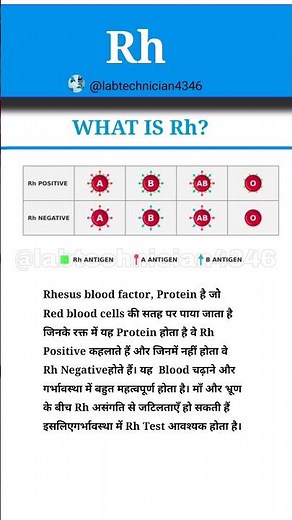 What is Rh|Rh|Rh full form|Rh factor|Blood group|red blood cells|protein#mbbs#lab#blood#viral#reels