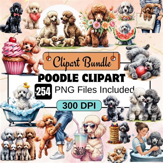 254 Poodle Clipart,watercolor Dogs,pet Animals Clipart,watercolor Poodle Clipart Bundle,toy Dog Sublimation Designs,cute Pet Pngs,dog Breed - Etsy
