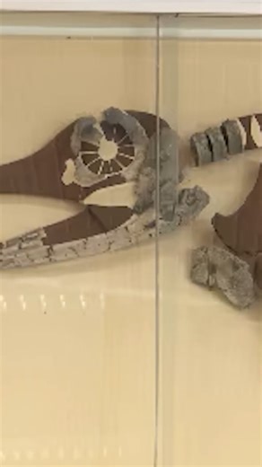 180 Million Years Old, Iggy the Icthyosaur, the Oldest Resident at Milton Keynes Museums