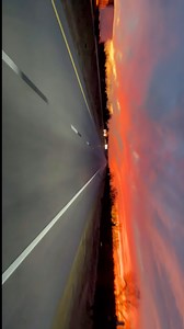 4.7K views · 116 reactions |  From Aurora, Colorado to Lemon in just...