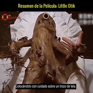 Resumen de la Película: Little Otik | Blackbeard ปลูกผม หนวด เครา คิ้ว จอน