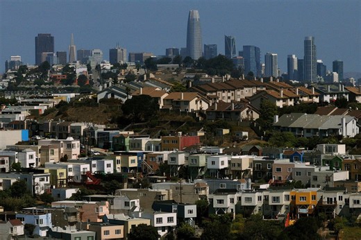 San Francisco man fined $50K for pruning trees for insurance