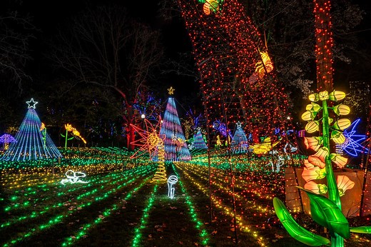 Tickets to Lincoln Park Zoo’s annual Zoolights on sale Tuesday