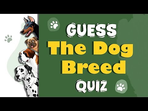 Guess the Dog Quiz for Kids | Woof Woof! Can You Identify the Dog? | Fun Animated Quiz for Kids