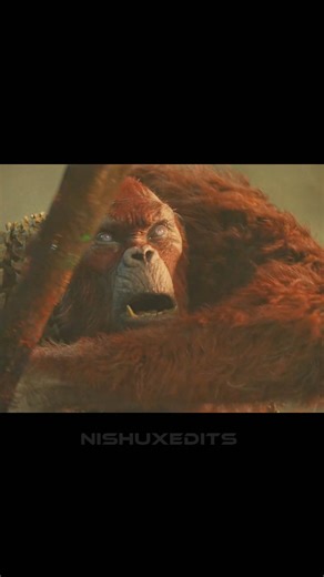 || When King's Of Monsters Are Enter In Battlefield || Wait for End ☠️#monsterverse #godzillaxkong