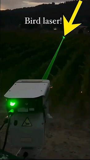 Automated Laser Bird Deterrent