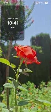 HN Monitor - High-Scoring Story Sentinel: Basic Usage