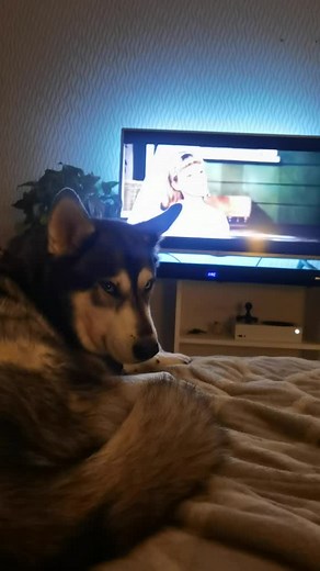 Gera Pallares on TikTok