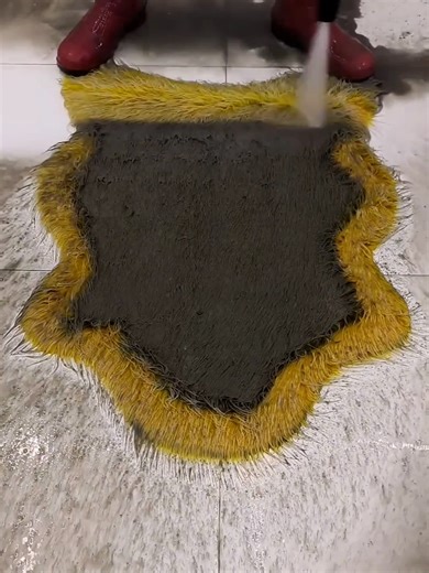 Expert Tips for Carpet Washing and Cleaning