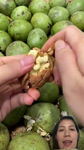 Shelling fresh walnuts #easyfarming #farming101 #satisfying