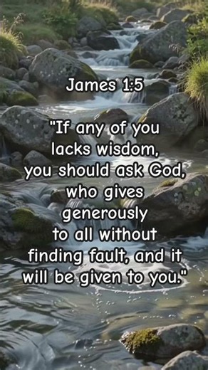 James 1:5 #wisdom #bibleversedaily #ourdailybread #faithoverfear #growyourfaith