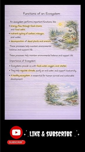 Ecosystem 🌱 | Definition, Components & Types | Biology Handwritten Notes