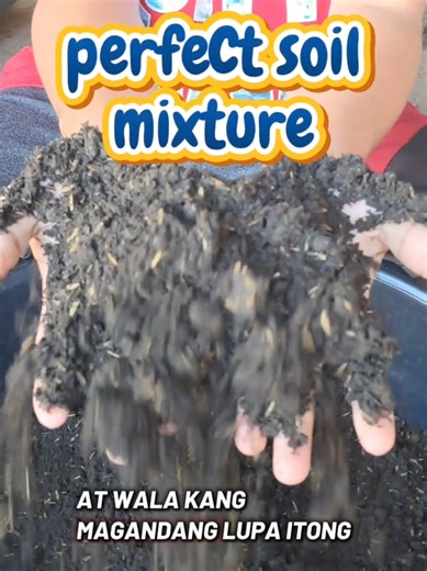 Organic Gardening with Loam Soil: A Complete Guide