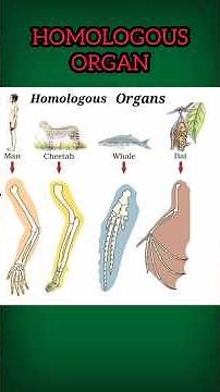 Homologous vs Analogous Organs 🤯| 30 Sec Super Trick | Bio Ke Baazigar Series #3 #shorts #neet #meme