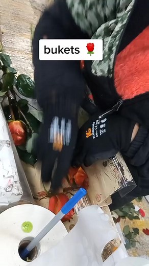 Creative Flower Arrangement Techniques for Beginners