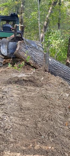 450 Timberjack -Eastern KY Logging #cummins #bluecollarlogger #timberjack #logging