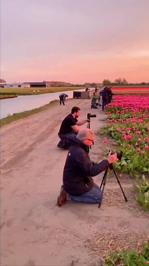 The 5 most expensive flowers in the world #top5 #expensive #flowers | Top5expensive