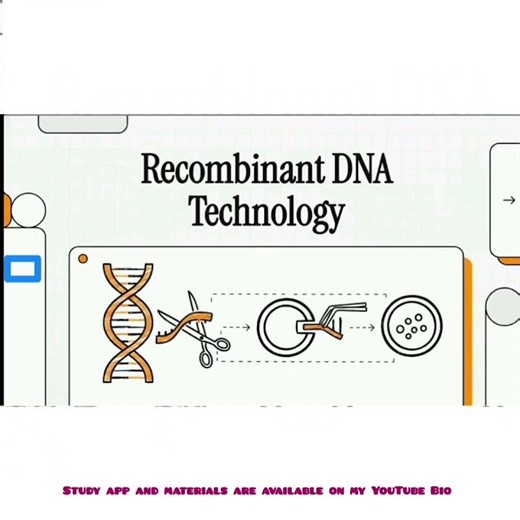 🧬 Recombinant DNA Technology (Part 1): The Blueprint of Genetic Engineering