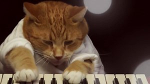 Keyboard Cat Heatin' Up | Keyboard Cat