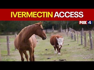 Texas lawmakers approve easier access to ivermectin, sparking concern from doctors