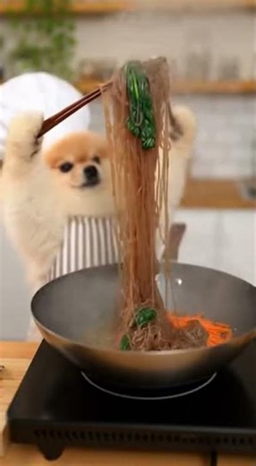 포메가 말아주는 한국요리 #잡채 #강아지요리 #dogcooking