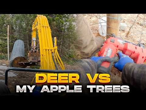 The Fence That FINALLY Stopped the Deer!!