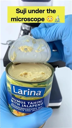 suji under the microscope 😯🔬 #shorts #shockingfacts #microscope #humus #fun