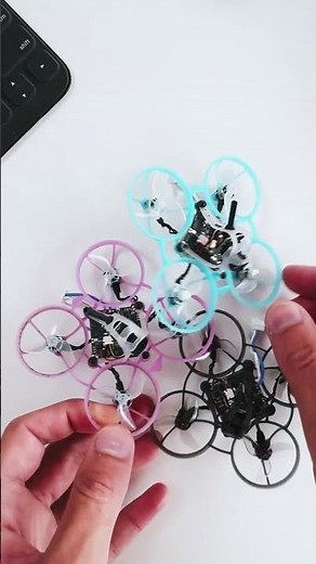 Air65 II Freestyle vs Racing vs Champion (Which Should You Buy?)