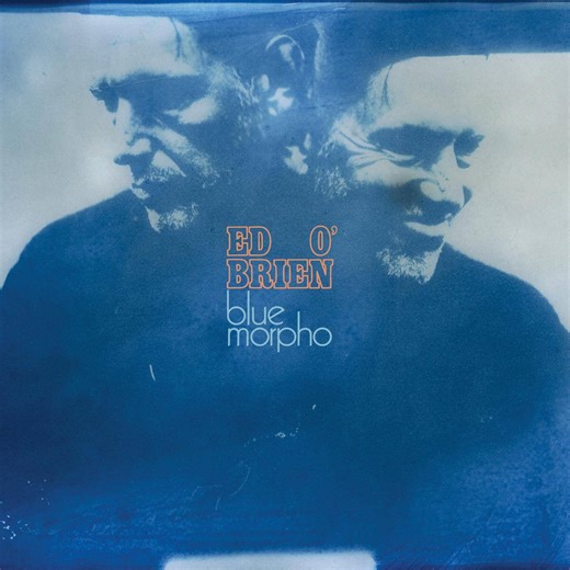 Ed O'Brien - Blue Morpho