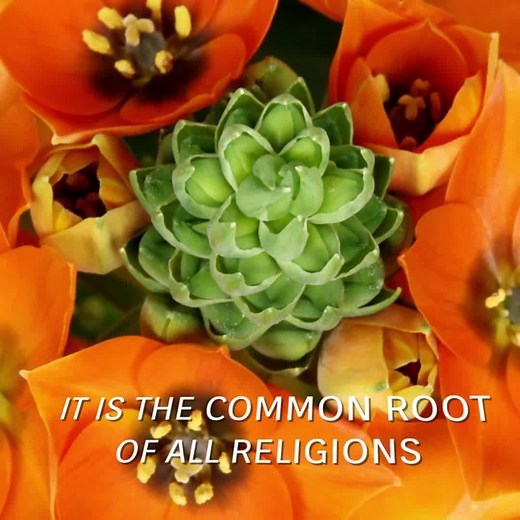 116 reactions · 19 shares | See the science behind the primordial source of all life in this award-winning documentary. Subscribe and start watching, only on Gaia. | Gaia | Facebook