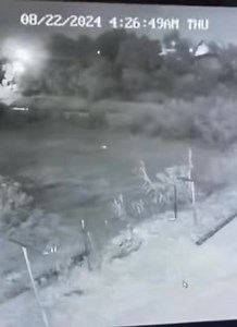 22 de Agosto 2024 México 🇲🇽 Entidades humanoides son captadas por cámara de seguridad Se desplazan de una manera singular, utilizando una luz sus cuerpos des materializan y materializan al avanzar… | Más sobre Alienigenas y Exopolitica