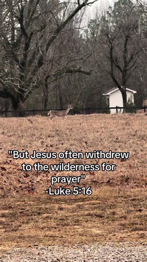 Finding God in Nature: A Spiritual Connection