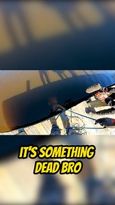 9.6K views · 38 reactions | I accidently snagged something dead while magnet fishing. Catch and cook? #magnetfishing #catchandcook | Daniel Bowens | Facebook