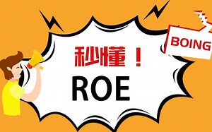 秒懂ROE