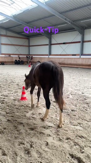 Quick tip: Stand still at the blacksmith's