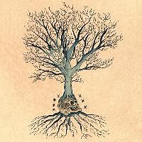 David Daniell, Douglas McCombs - Versions