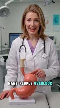 Stomach Problems That Never Go Away – The Real Reason Behind It