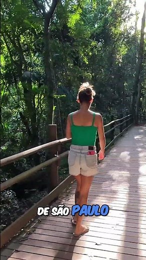 🌳 Adventures in the Atlantic Forest of São Paulo #AtlanticForest #SãoPaulo