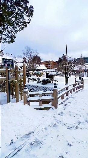 高野山は今日も雪景色です。南無大師遍照金剛🙏