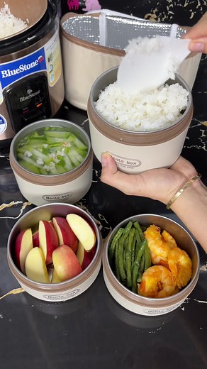 Hộp cơm giữ nhiệt inox: giữ nóng cơm canh khi đi làm