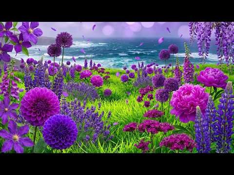 (No Ads) MORNING CALM MUSIC 🌿 – Relaxing Piano to Refresh Your Mind & Relieve Stress