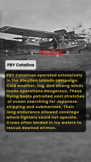 Aleutian Patrol Guardian | Military History Talks